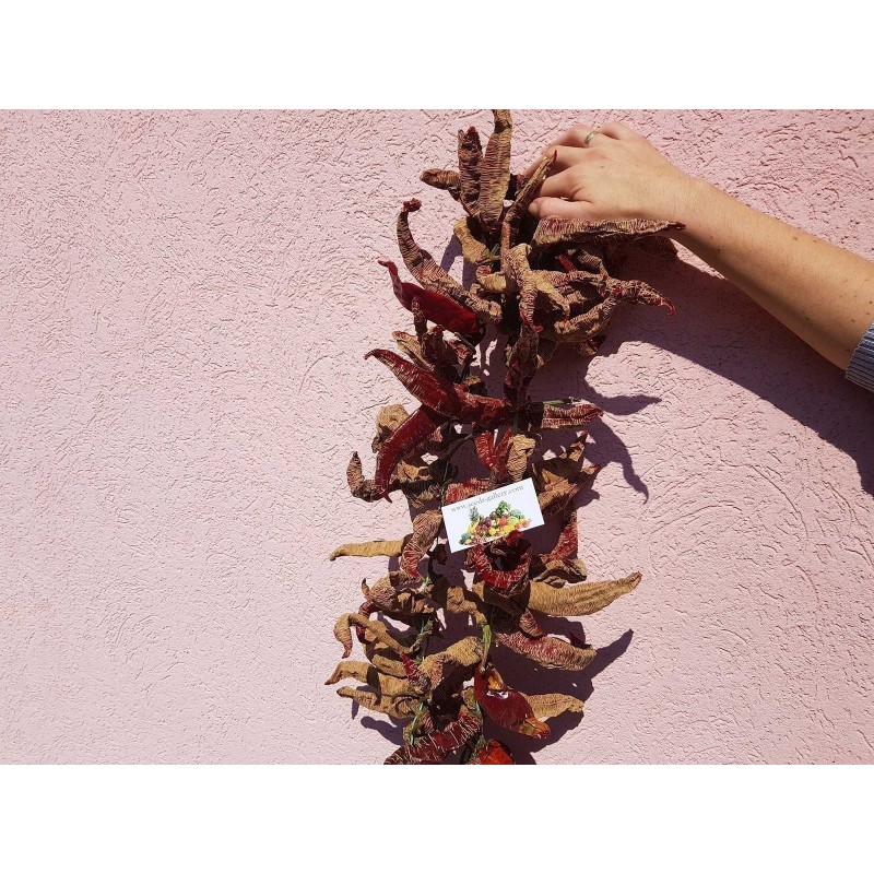 Pimenta "Vezanka" 4000 Sementes - Antigo variedade sérvio | 120,00 €