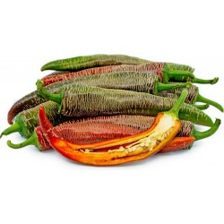 Pimenta "Vezanka" 500 Sementes - Antigo variedade sérvio
