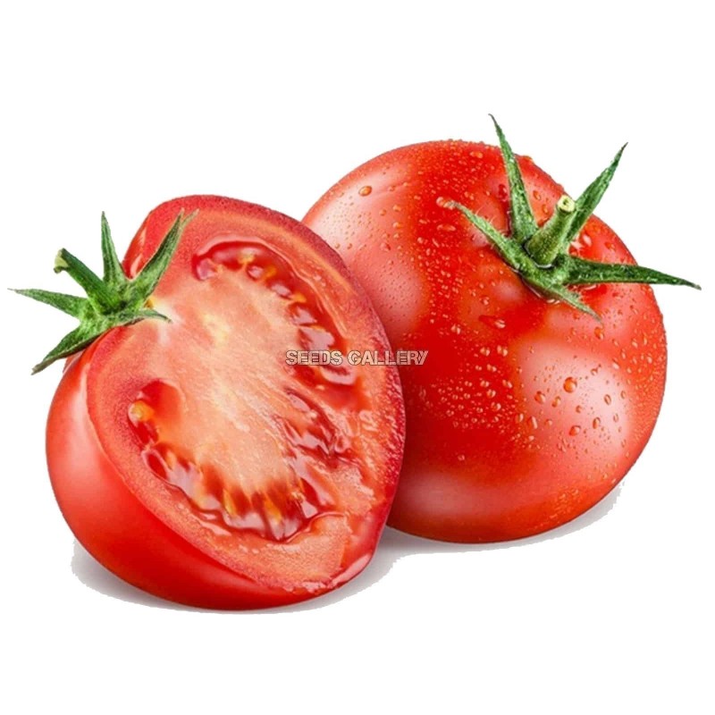 Tomatfrön Novosadski Jabucar