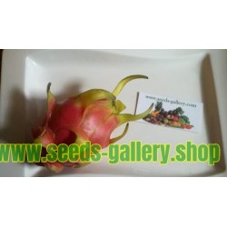 Σπόροι pitaya εξωτικό φρούτο του δράκου