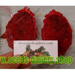 Pitaya Fruit, Pitahaya Fruit, Dragon Fruit Seeds With Red Meat Rare Exotic