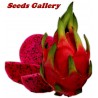 Red Pitaya, Dragon Fruit Seeds (Hylocereus costaricensis) | €2.50