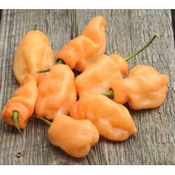 Σπόροι Τσίλι-πιπέρι Habanero Peach 2 - 2