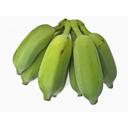 Wild Banana Seeds (Musa balbisiana) 2.25 - 10