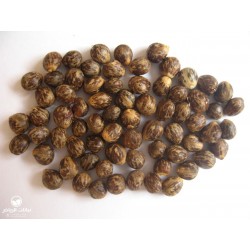 Semillas de Árbol Cepillo De Dientes (Salvadora persica) 2.25 - 2