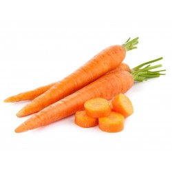20g - 14.000 Semillas de zanahoria Danvers 8.5 - 3