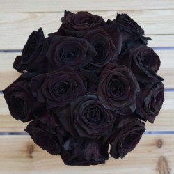 Extra Schwarze Rosen Samen Top ! 2.5 - 3