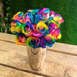 200 Seeds Gemini_mall® Multi-color Rainbow Rose Seeds Garden Plants Seeds Flower Seeds Rainbow Rose Flower 