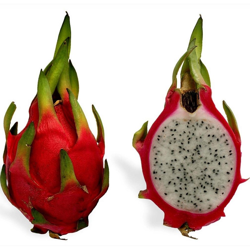 Σπόροι pitaya εξωτικό φρούτο του δράκου 2.35 - 6