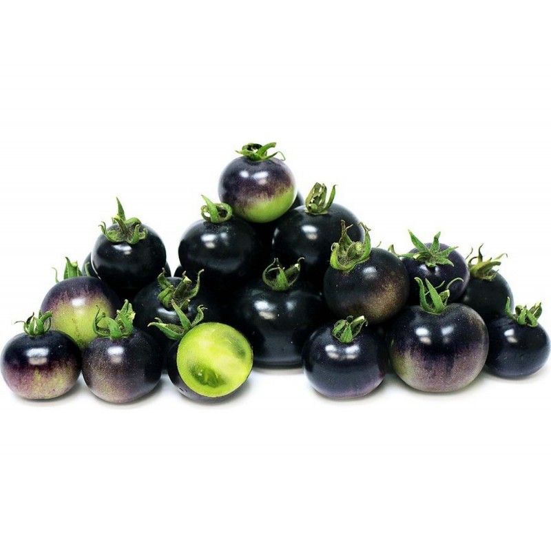 20 Samen Seedeo/® Olive///Ölbaum Olea europaea