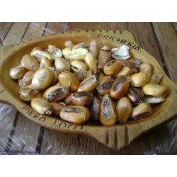Giant Peruvian Chullpi Corn - Maiz Seeds 2.45 - 4