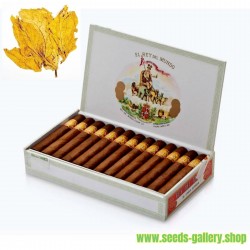 Tabac Hav. Gold Smooth 1000 Graines