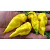 Habanero Hot Lemon Seeds 1.95 - 2
