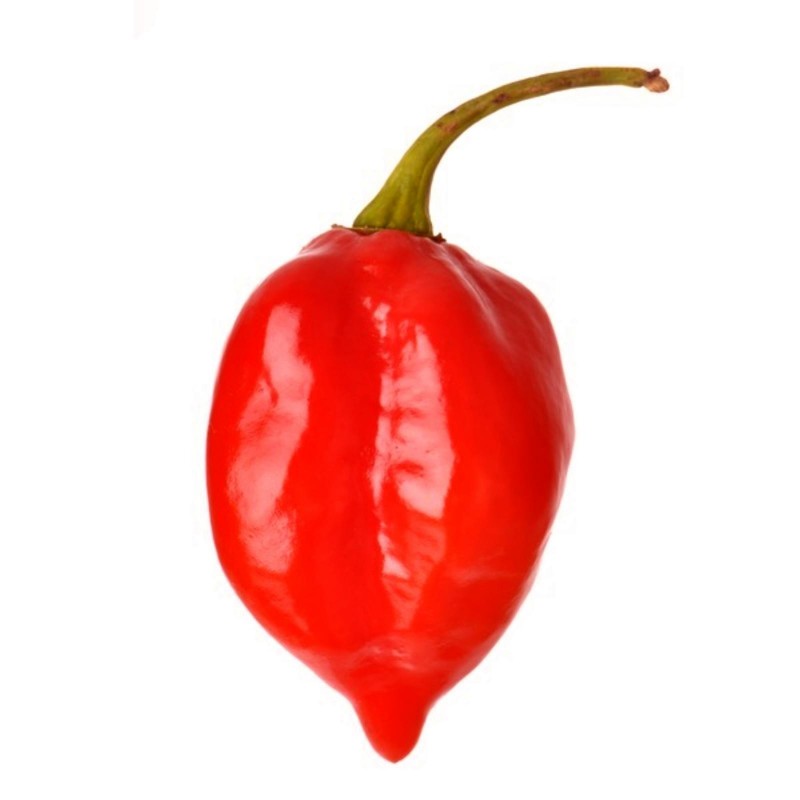 Σπόροι Habanero Savina Red Τσίλι - πιπέρι 2.45 - 5