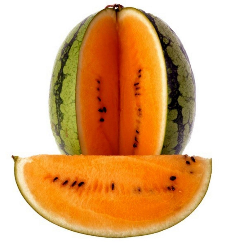 Orangene Wassermelone BIO Samen "Tendersweet" 1.95 - 3