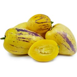 Sementes De Melão-Pêra (Solanum muricatum) 2.55 - 6