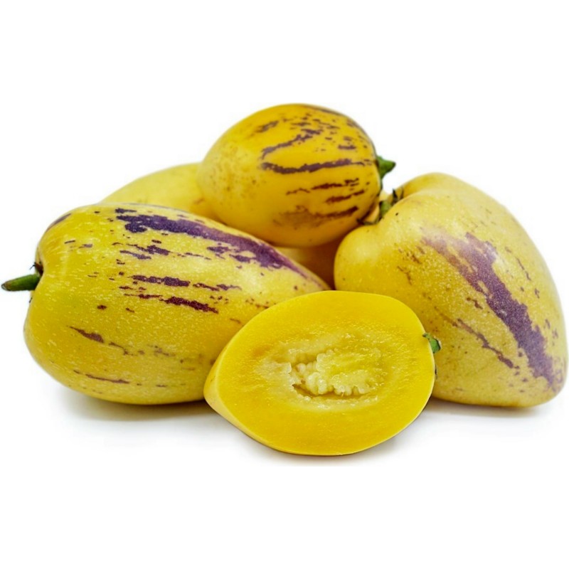 Pepino Dulce, Melon Pear Seeds (Solanum muricatum) 2.55 - 6