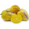 Pepino Dulce, Melon Pear Seeds (Solanum muricatum) 2.55 - 6