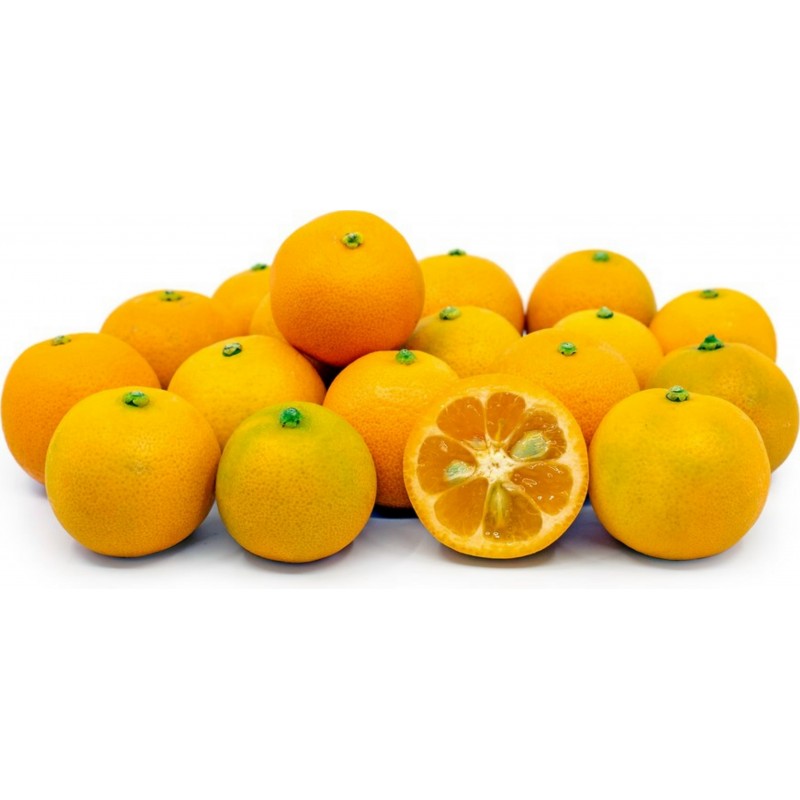 Calamondin Citrus Fruit Seeds for Garden Calamansi Lime Seeds for Planting Outdoor Indoor 30 