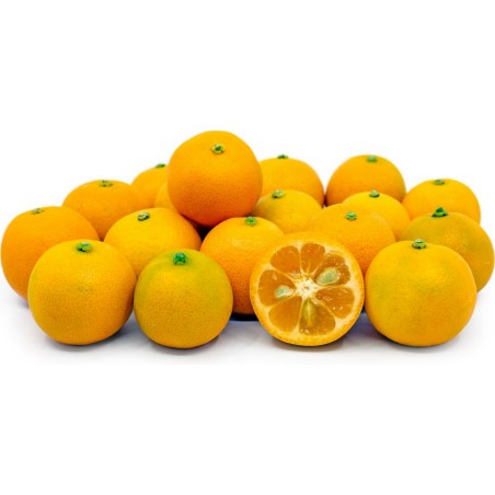 Price: €4.95 - Calamondin-Orange Zwergorange Samen -