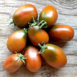 Black Plum Tomato Seeds 2.85 - 3