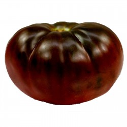 Graines Tomate ancienne noire BRANDYWINE BLACK 1.85 - 3