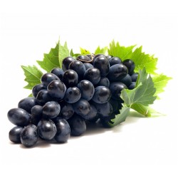 Svart Druva Frön (vitis vinifera) 1.55 - 1