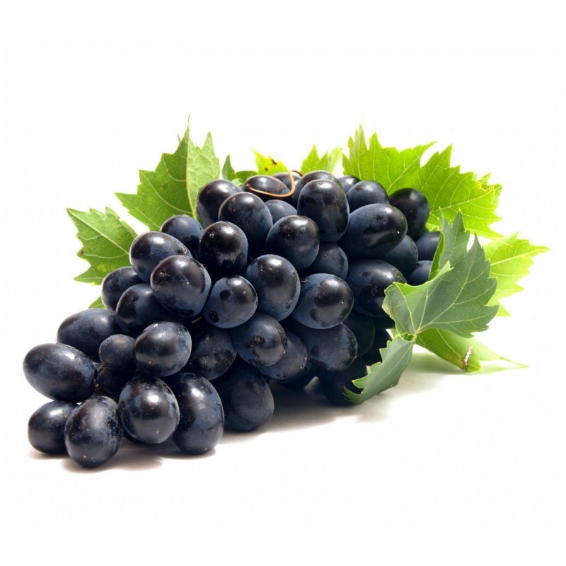 Black Grape Seeds (vitis vinifera) 1.55 - 1