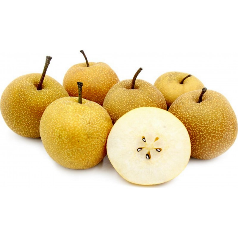 comestibles, rapide Tree Seeds Pyrus pyrifolia chinois Sand Pear Asian Pear, 
