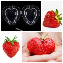 Die Form für Früchte in Form von Herz, Birne, Zuckermelone... 15 - 1