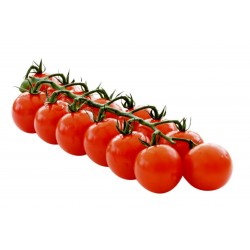 BLUMAUER Cherry tomatfrön 1.75 - 4