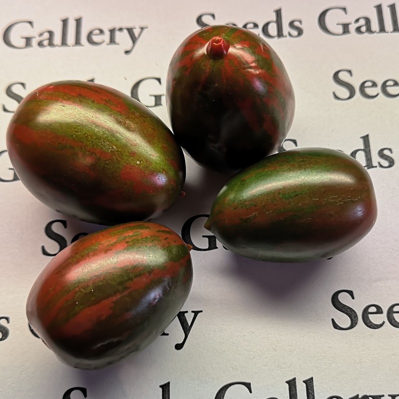 Sementes de tomate Purple Fairy | 1,55 €