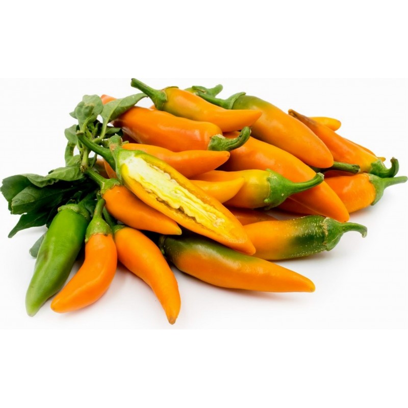 Bulgarian Carrot Chili Pepper Seeds 1.8 - 1