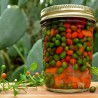 Chiltepin Frön (capsicum annuum) | 1,50 €
