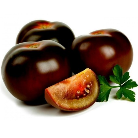 1000 Semi di pomodoro Kumato 85 - 4