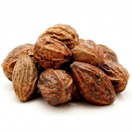 Graines de Cadou, Myrobalan Noir (Terminalia chebula) | 4,95 €