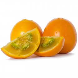Naranjilla Lulo Seme (Solanum quitoense) 2.45 - 5