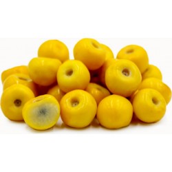Εξωτικά φρούτα Σπόροι Muruçi, Nanche, Nance (Byrsonima crassifolia) 4.75 - 1