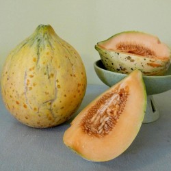 Semillas de melón Eel River 2.049999 - 5