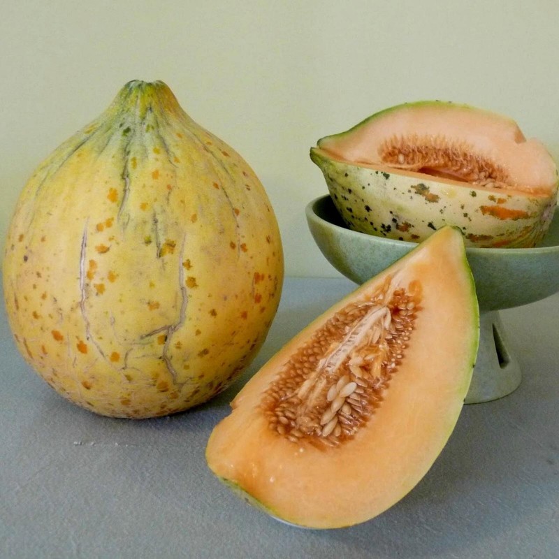 Eel River Melone Samen 2.049999 - 5