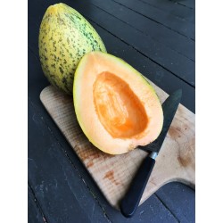Eel River Melone Samen 2.049999 - 3