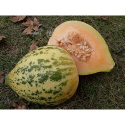 Eel River Melone Samen 2.049999 - 4