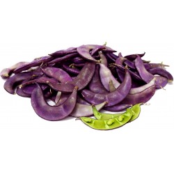 Original Package 6 Purple Haricot Bean Seeds Lablab Purpureus Vegetable C138