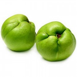 Ελεφάντων μήλο Σπόροι (Dillenia indica) 3.25 - 22