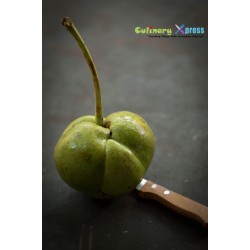 Ελεφάντων μήλο Σπόροι (Dillenia indica) 3.25 - 18