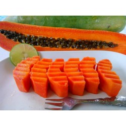 "KAK DUM" Lång Papaya Dvärg Frön (Carica papaya) 3 - 9