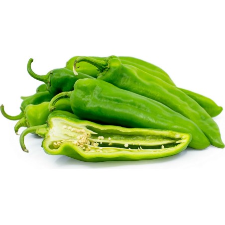 Semi di Peperoncino ANAHEIM (Capsicum Annuum) | 1,55 €