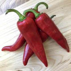 Hot Chili Pepper ANAHEIM seeds (Capsicum Annuum) 1.75 - 2