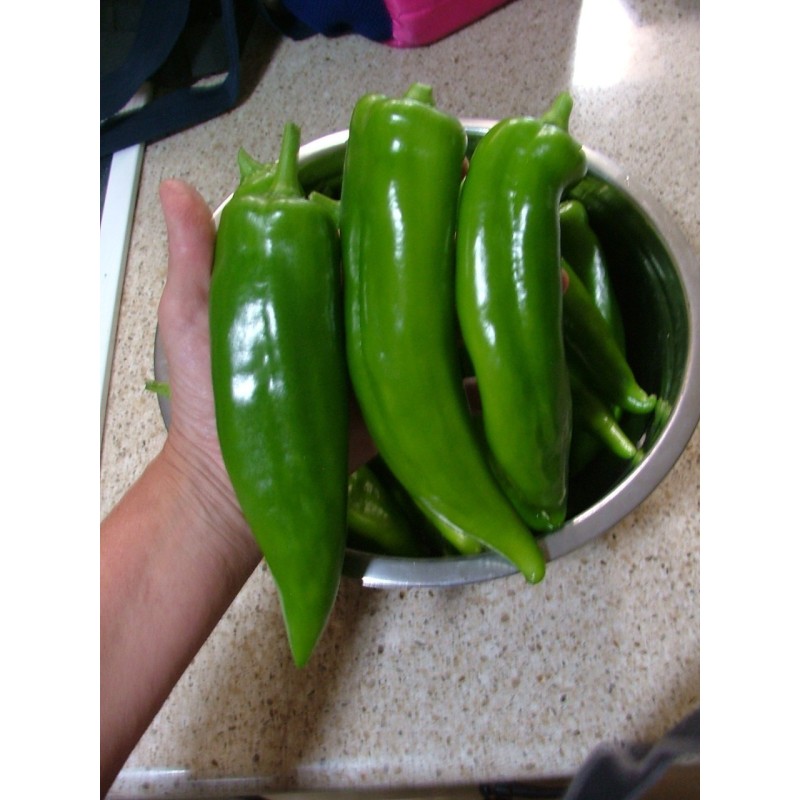 Semillas de chile ANAHEIM (Capsicum Annuum) | 1,55 €