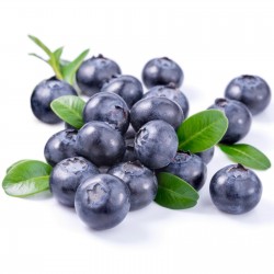 Amerikanska blåbär Frö (Vaccinium angustifolium) 2.5 - 4